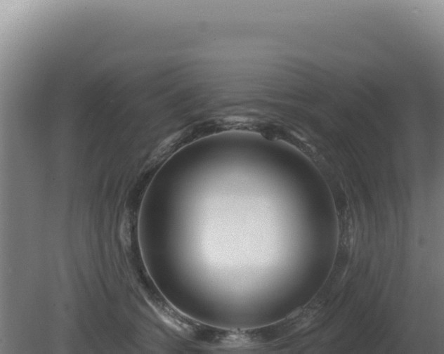 X0000081440562200701191651