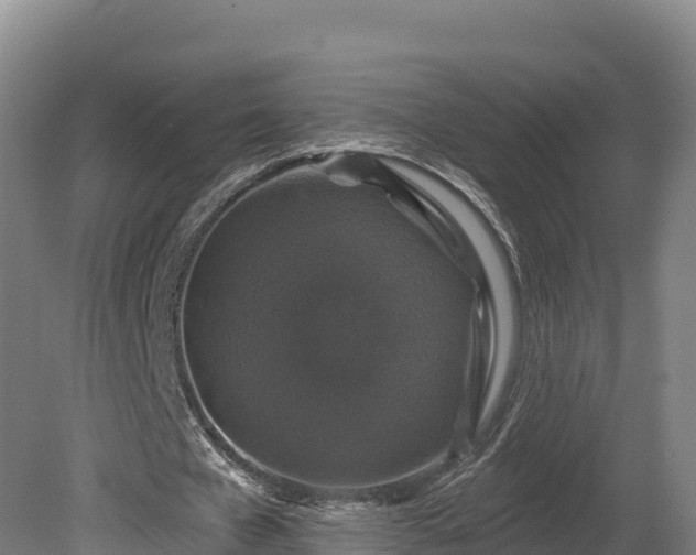 X0000081440577200701191650
