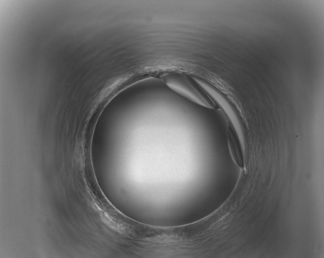 X0000081440578200701191650
