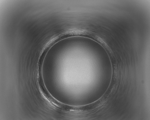 X0000081440582200701191650