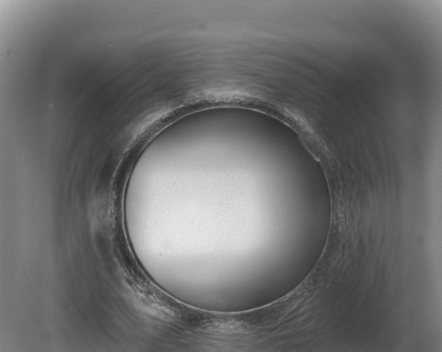 X0000081440583200701191650