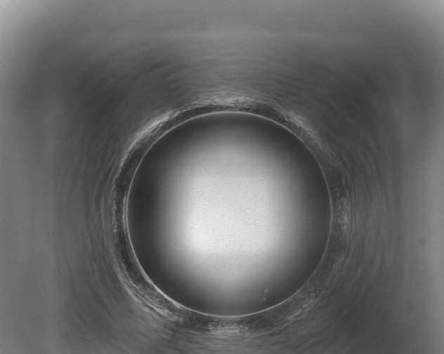 X0000081440587200701191650