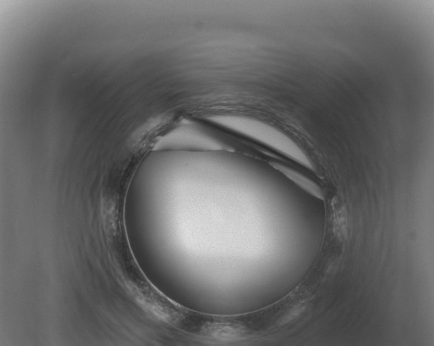 X0000081440597200701191650