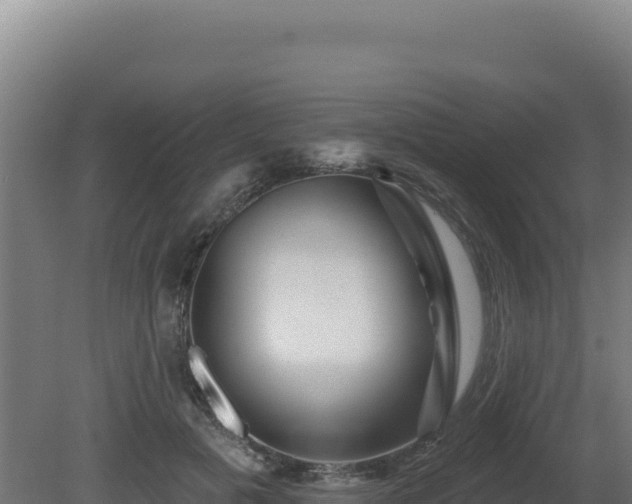 X0000081440601200701191650