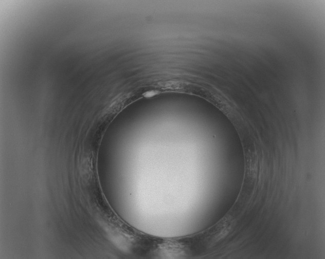 X0000081440603200701191650