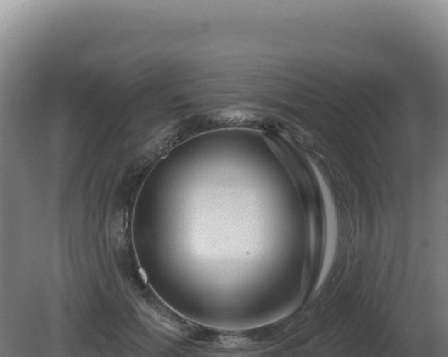 X0000081440605200701191650