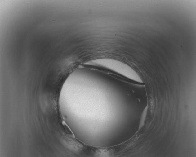 X0000081440613200701191649