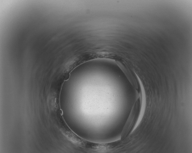 X0000081440615200701191649