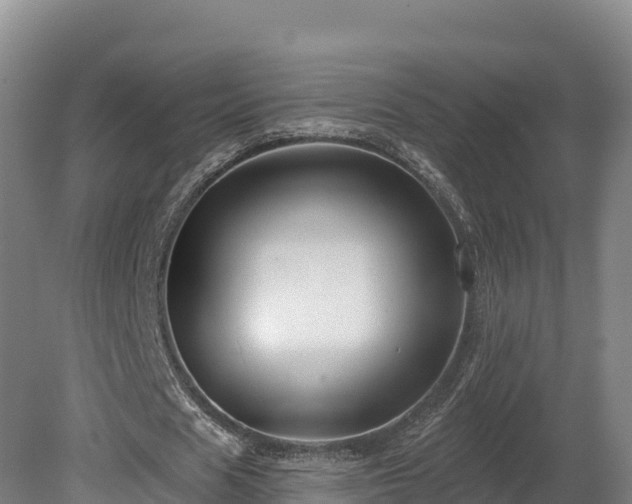 X0000081440625200701191648