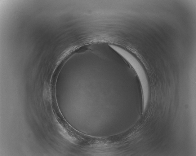 X0000081440626200701191648