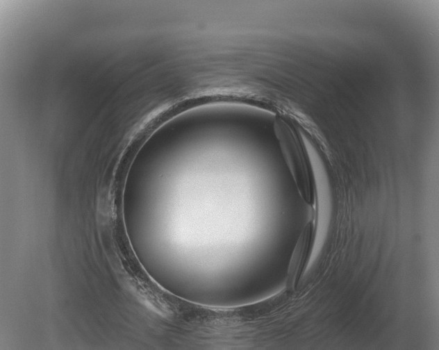 X0000081440628200701191649