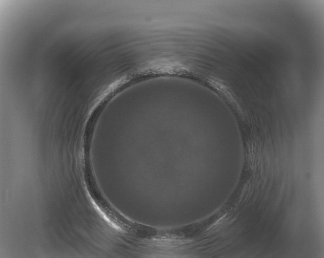 X0000081440630200701191649
