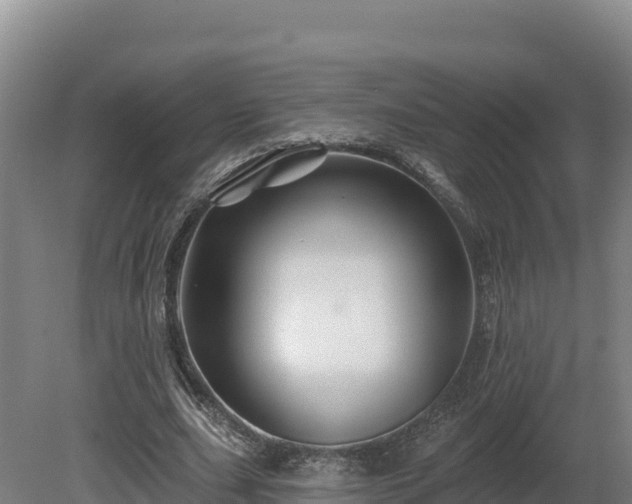 X0000081440631200701191649