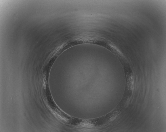 X0000081440644200701191649