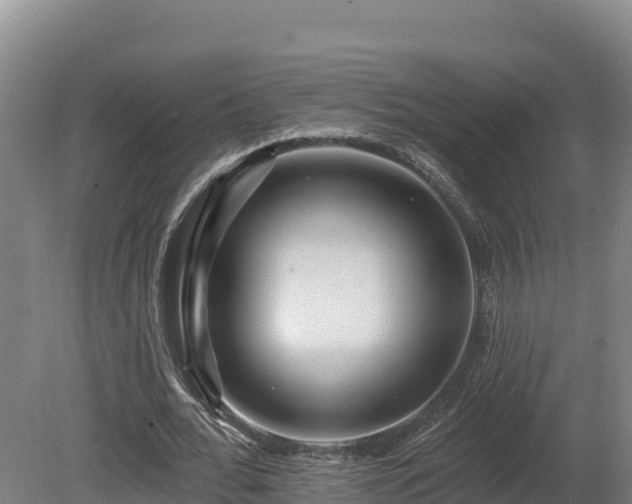 X0000081440676200701191648