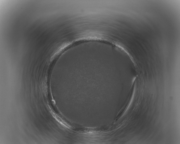 X0000081440677200701191648