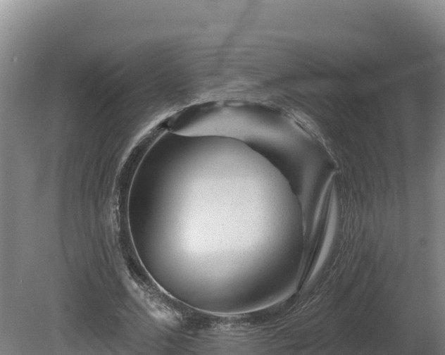 X0000081440680200701191648