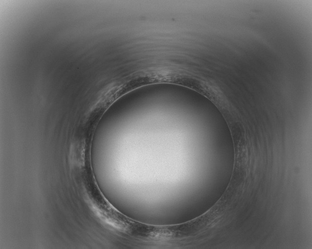 X0000081440694200701191648