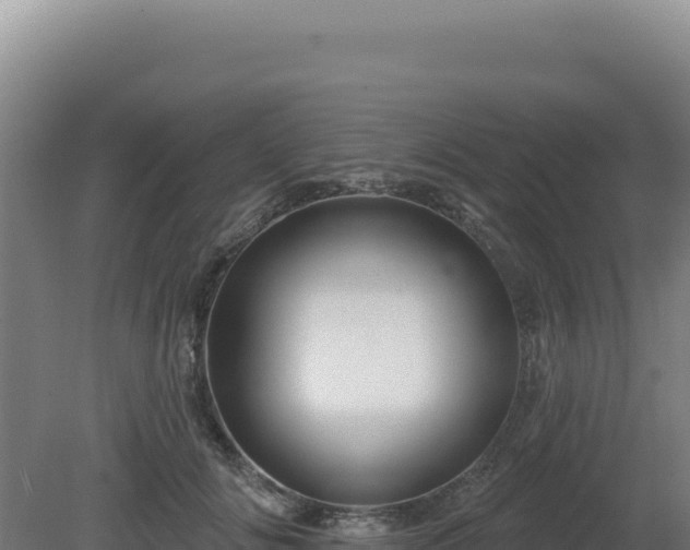 X0000081440702200701191648