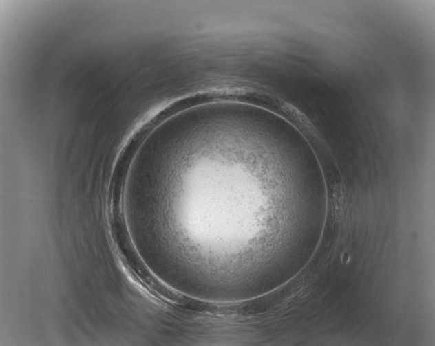 X0000081440726200701191647