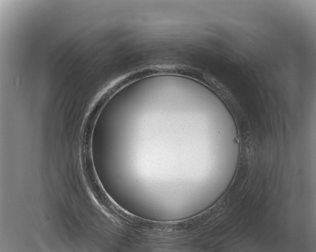 X0000081440728200701191647