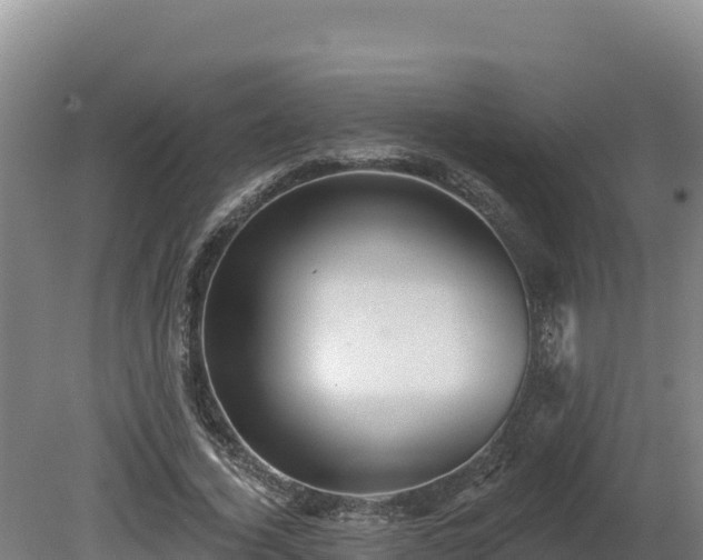 X0000081440732200701191647
