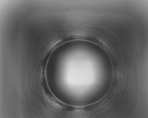 X0000081440744200701191647