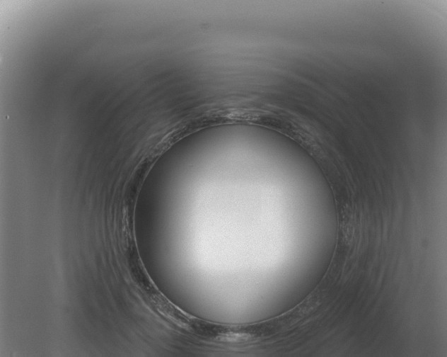 X0000081440748200701191647