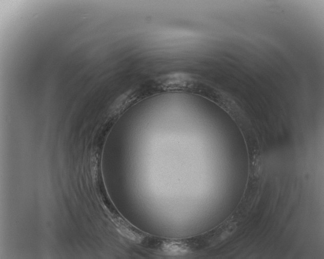 X0000081440753200701191647
