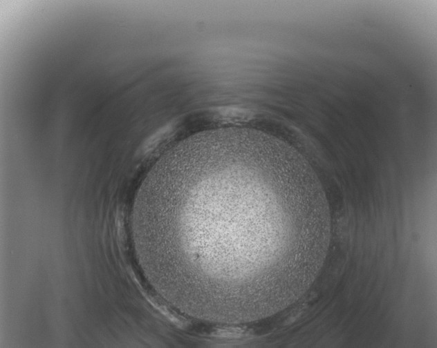 X0000081440757200701191647