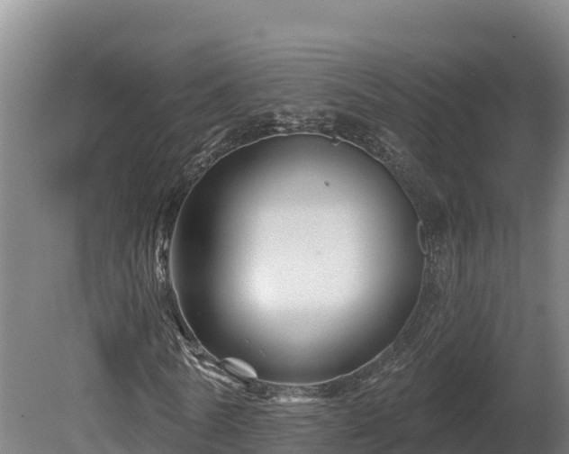 X0000081440770200701191647