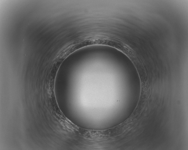 X0000081440774200701191647
