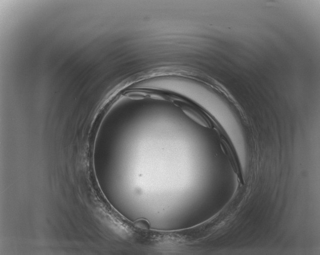 X0000081440786200701191647