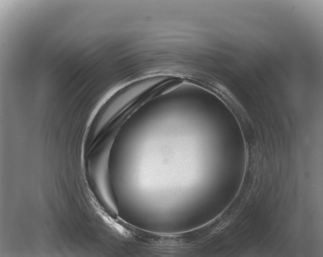 X0000081440788200701191646