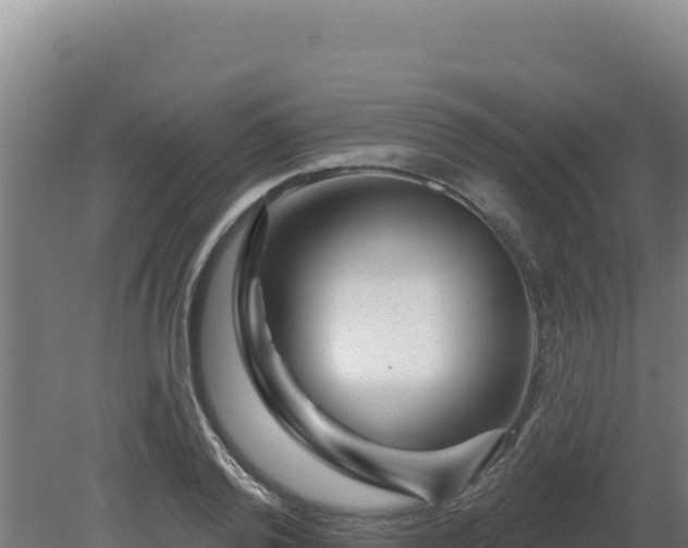X0000081440792200701191646