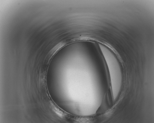 X0000081440801200701191646