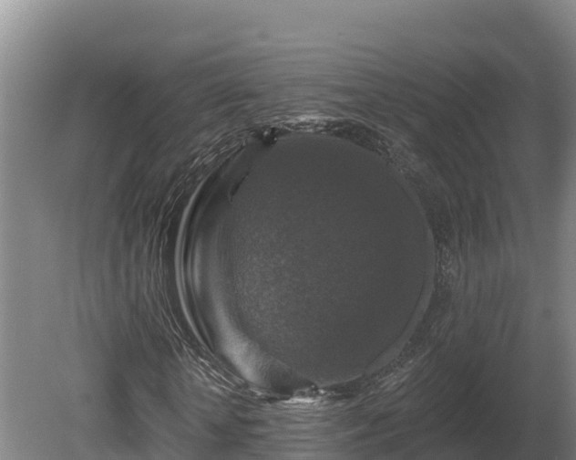 X0000081440818200701191645