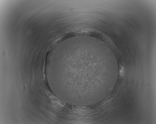 X0000081440819200701191645