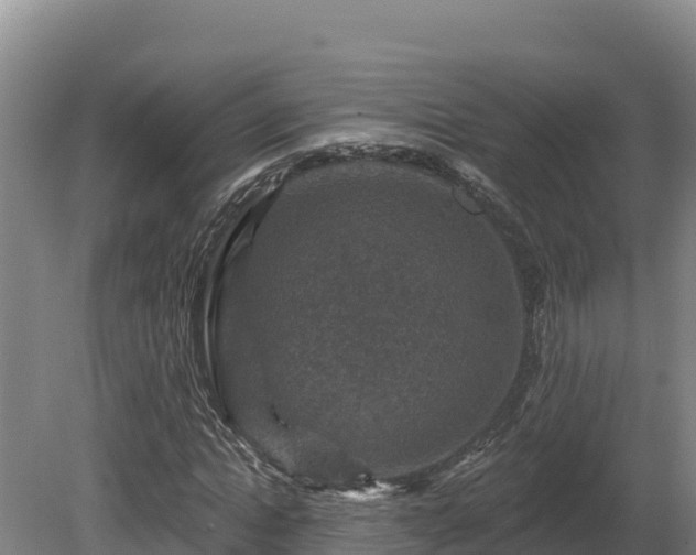 X0000081440822200701191645