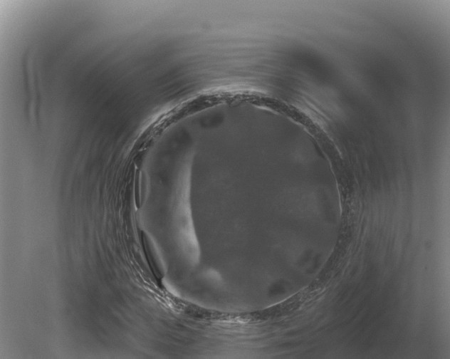 X0000081440823200701191645