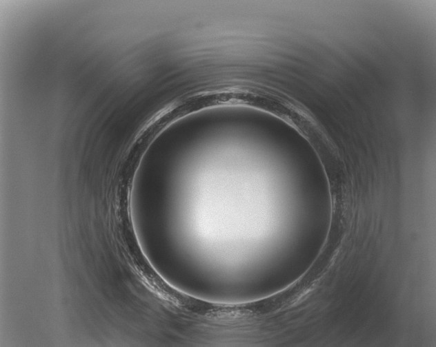 X0000081440826200701191645