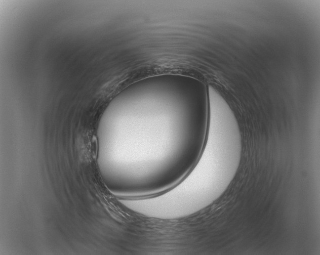 X0000081440868200701191645