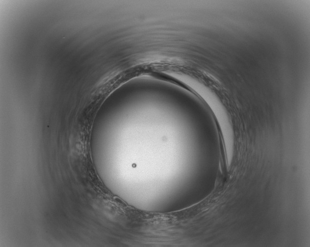 X0000081440869200701191645