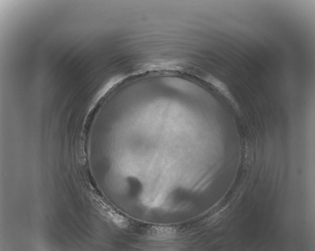 X0000081440878200701191645