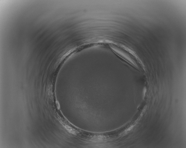 X0000081440881200701191645