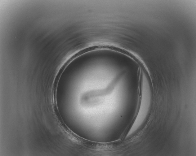 X0000081440887200701191645