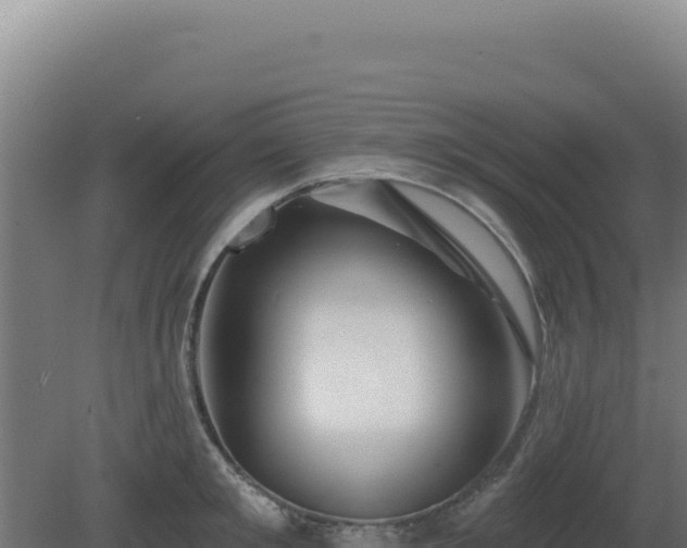 X0000081440901200701191645
