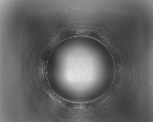 X0000081440914200701191644