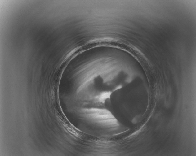 X0000081440921200701191644