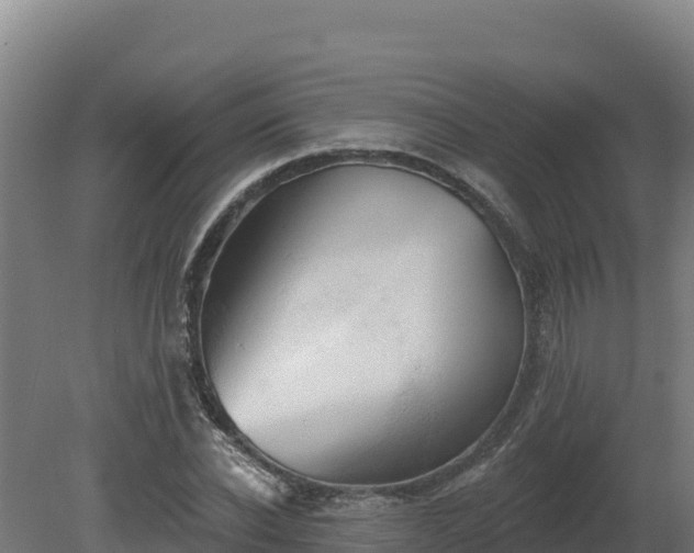 X0000081440926200701191644
